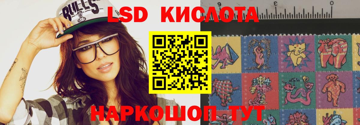 Новозыбков  Лсд 25 экстази  Лсд 25 экстази ecstasy  Вход с VPN  ЛСД экстази кислота 