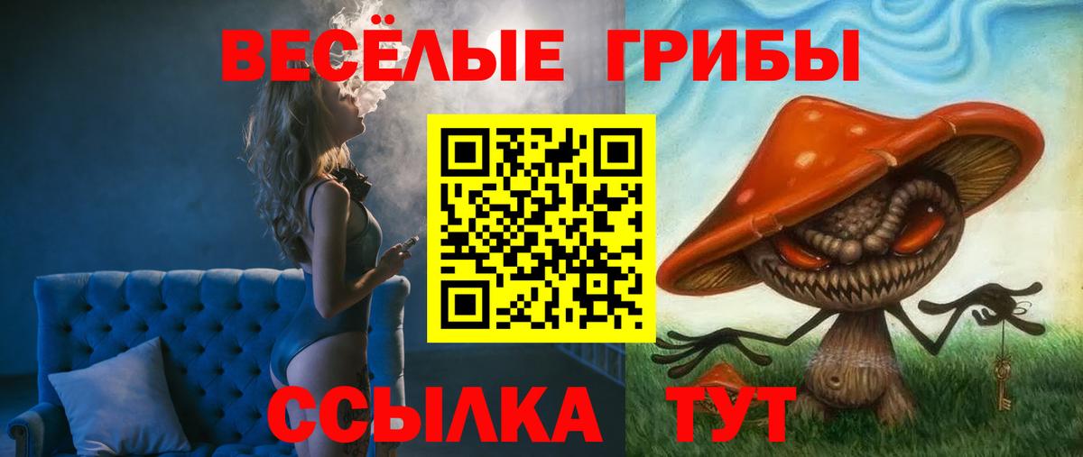 Псилоцибиновые грибы прущие грибы Новозыбков