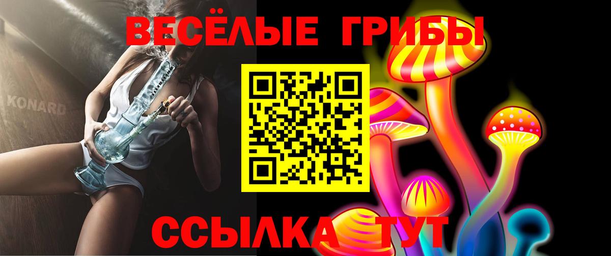 наркошоп  Галлюциногенные грибы мицелий  Новозыбков  Вход с VPN  Псилоцибиновые грибы прущие грибы 